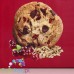 Diablo no sugar added Cookies with corn & oat flakes and cranberry