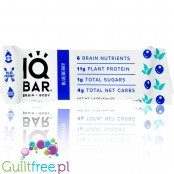 IQ Bar Lemon Blueberry Brain & Body plant protein bar with Lion's Mane, MCTs, Omega-3, flavonoids, vitamin-E and choline
