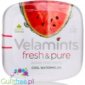 Velamints Stevia Fresh & Pure, Cool Watermelon sugar free mints
