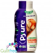 Pyure Sugar Free Syrup, Caramel - low calorie syrup with fiber