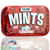 Big Sky Mints Cinnamon - miętowo-cynamonowe pudrowe pastylki bez cukru