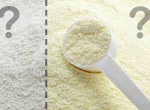Białko mleka i białko serwatkowe – czym się różnią?