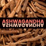 Ashwagandha – ziołowe remedium nie tylko dla sportowców