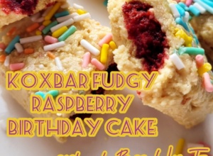 KoxBar Fudgy Raspberry Birthday Cake – przepis na domowy baton białkowy